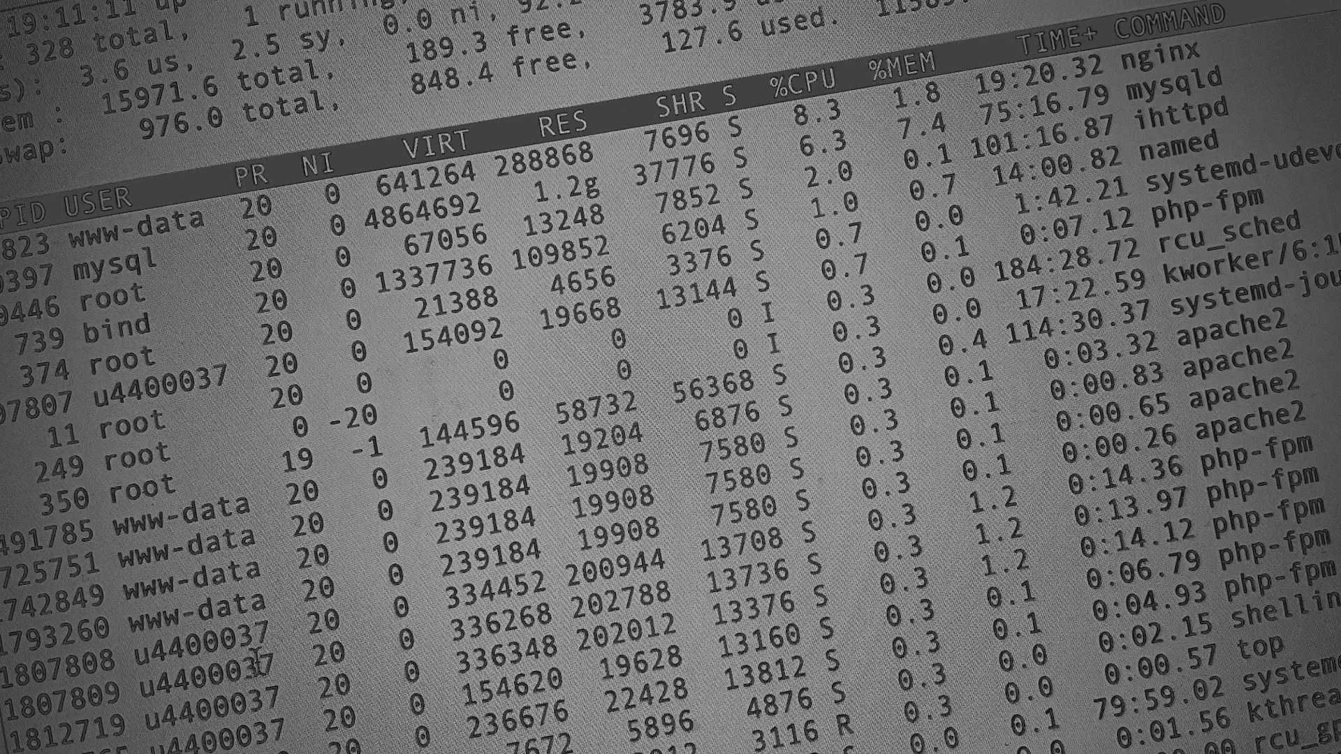 Настройка сервера в Лангепасе